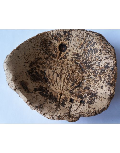 Keramika | Raugo keramikos lėkštė