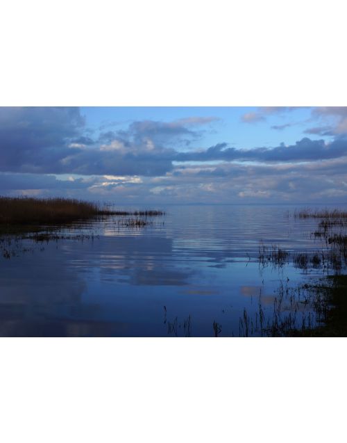 Photography | Curonian Lagoon | Mirrors of Curonian Lagoon V