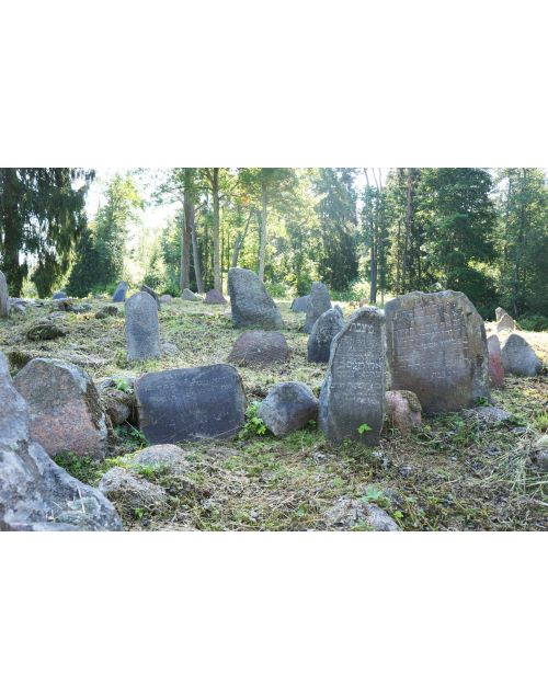 Senosios žydų kapinės Tauragnuose