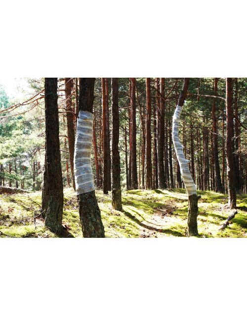 Fotografija | Žemės menas | Medžių reabilitacija